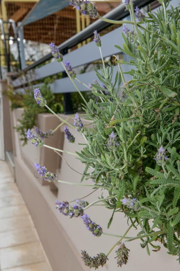 Aromatic Home Kissamos Luaran gambar